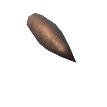 9,3 x 64 mm Bullet_1